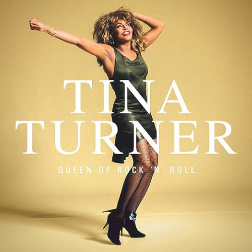 Tina Turner Queen Of Rock N Roll