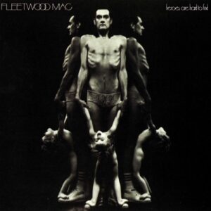 Fleetwood Mac Heroes Are Hard To Find