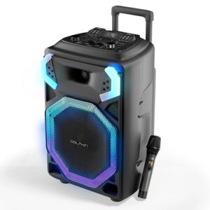 Dolphin SP-3115 High Power 15" Mic Wireless