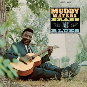 Muddy Waters Muddy Brass And The Blues
