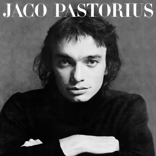 Jaco Pastorius Jaco Pastorius Music On Vinyl Holland  Import