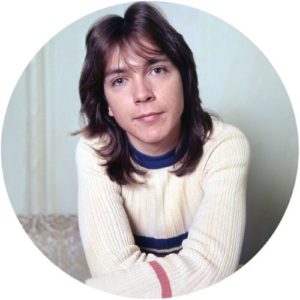 David Cassidy I Think I Love You  greatest hits live